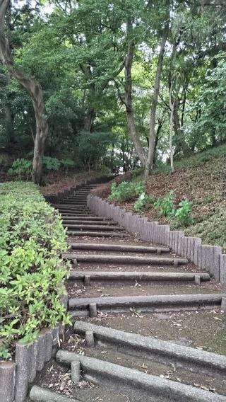 前ヶ崎城の登城記録(まるまるさん)