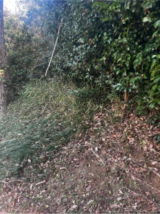 花輪城の登城記録(やさかさん)