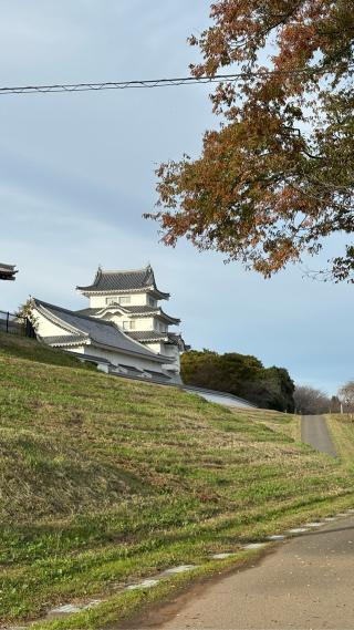 関宿城の登城記録(みねさん)