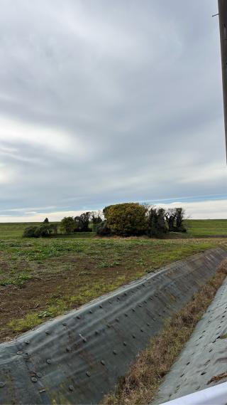 関宿城の登城記録(みねさん)