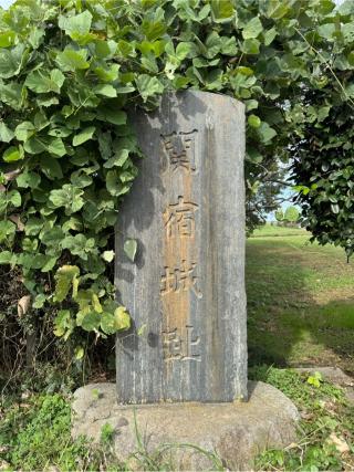 関宿城の登城記録(無極さん)