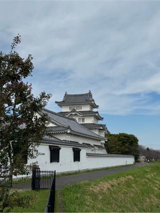関宿城の登城記録(無極さん)