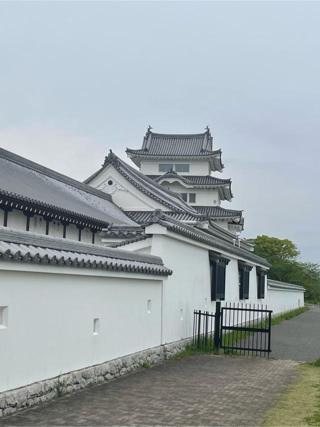 関宿城の登城記録(たんぼおちたさん)