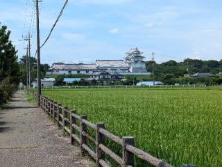 関宿城の登城記録(たくあんさん)