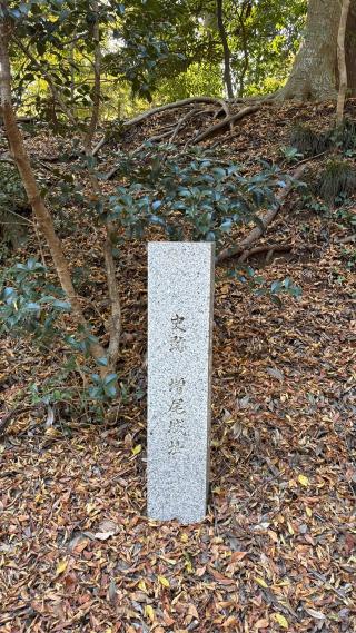 増尾城の登城記録(みねさん)