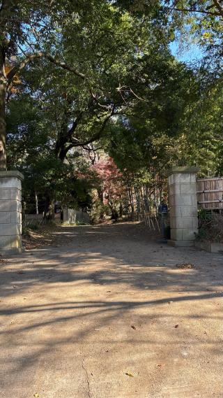 幸谷城の登城記録(みねさん)