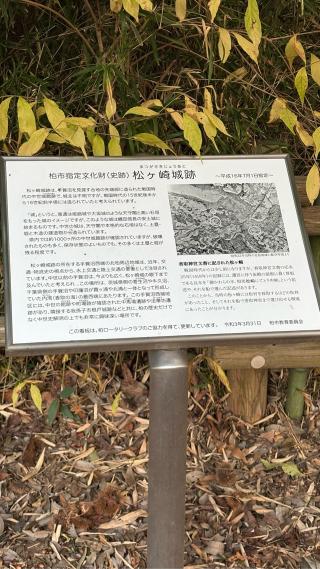 松ケ崎城の登城記録(みねさん)