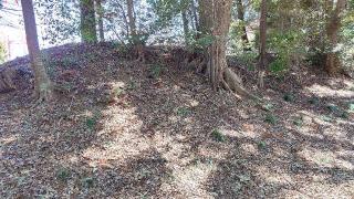 松ケ崎城の登城記録(アリケンさん)