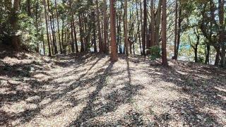 松ケ崎城の登城記録(アリケンさん)