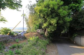 手賀城の登城記録(こにーさん)