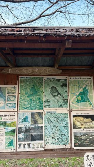 根木内城の登城記録(みねさん)