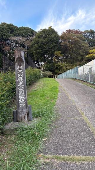 根木内城の登城記録(みねさん)