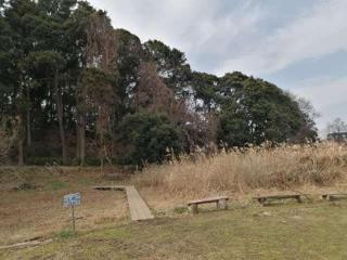 根木内城の登城記録(けいいちさん)